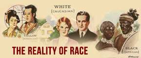 The Reality of Race by Ehud Would