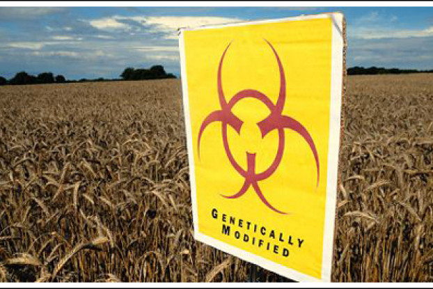 An Indignant Response to Marcus Pittman’s Anti-Agrarian Polemic ‘Praise God for GMOs’