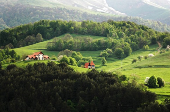 homestead