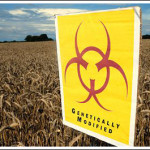 An Indignant Response to Marcus Pittman’s Anti-Agrarian Polemic ‘Praise God for GMOs’