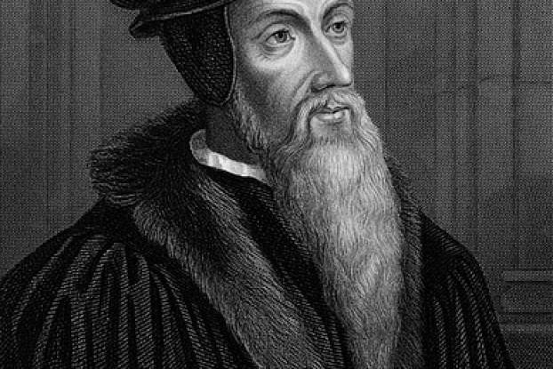 Calvin on the Libertatis Doctrina: A Response to Reformed Covenanter